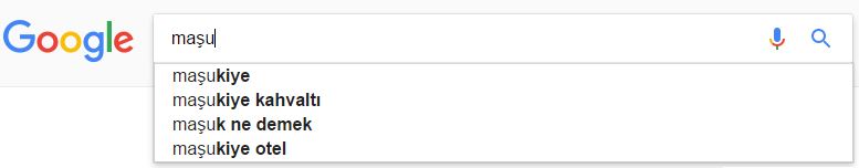 arama önerisi maşu